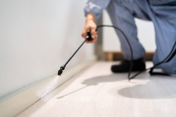 Licensed Mosquito Control service in Hallandale Beach, FL - Show Me Pest Control