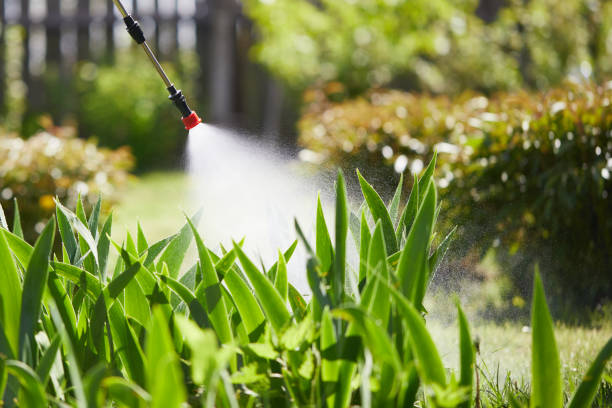 24/7 Emergency Mosquito Control experts in Hallandale Beach, FL