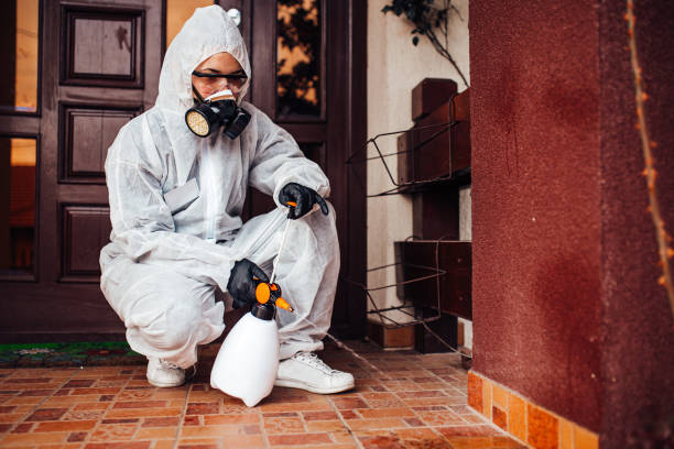 Reliable Mosquito Control contractor in Hallandale Beach, FL by Show Me Pest Control